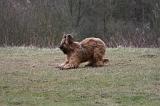 BRIARD 291